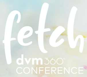 Fetch, a dvm360 conference logo