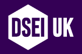 DSEI - Defense Systems & Equipment International logo